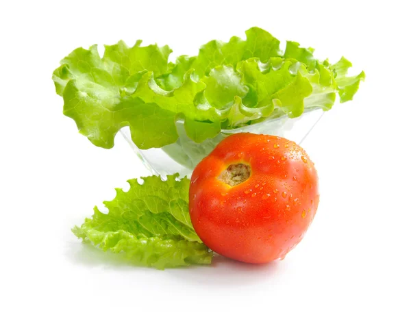 Frischer grüner Salat und Tomaten isoliert auf weißem Hintergrund — Stockfoto