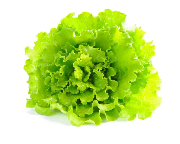 Fresh green salad isolated on white background — Stock Photo, Image