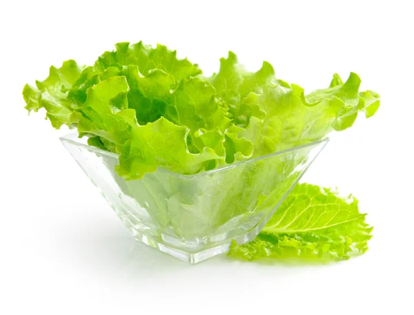 Salad hijau segar dalam piring kaca dengan latar belakang putih — Stok Foto