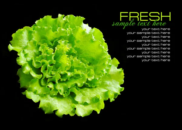 Fresh green salad isolated on black background — Stock Photo, Image