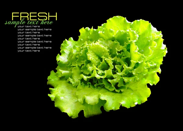 Fresh green salad isolated on black background — Stock Photo, Image