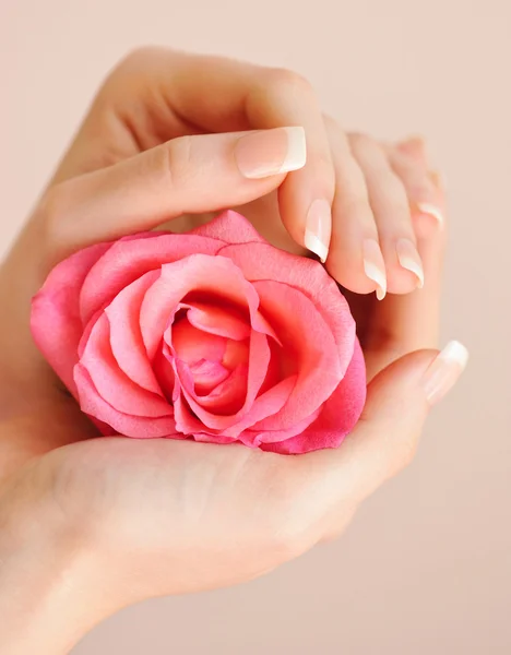 Nahaufnahme Bild der rosa Französisch Maniküre mit Rose — Stockfoto