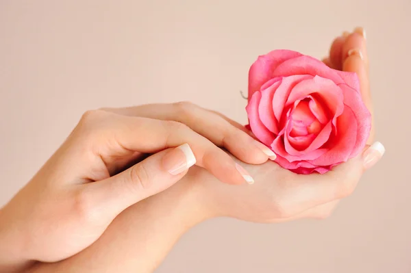 Imagen de primer plano de manicura francesa rosa con rosa —  Fotos de Stock