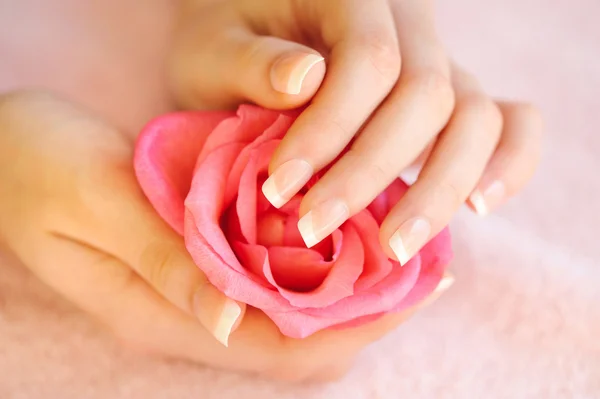 Imagen de primer plano de manicura francesa rosa con rosa — Foto de Stock