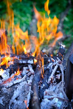 kamp ateşi closeup çekim