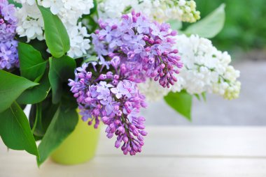 buket lilac doğal zemin