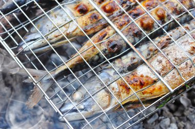 kamp ateşi üzerinde ızgara ızgara mackerels