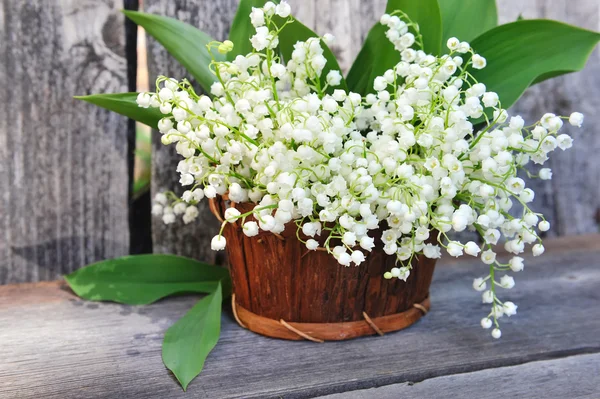 Basket with lilies of the valley (Convallaria majalis) — Stock Photo, Image