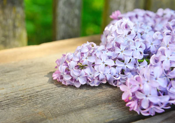 Fiori freschi di lilla su un vecchio sfondo di legno — Foto Stock