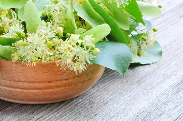 A fából készült bowl hársfa virágok — Stock Fotó