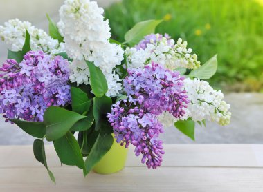 buket lilac doğal zemin