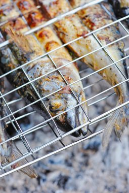 kamp ateşi üzerinde ızgara ızgara mackerels