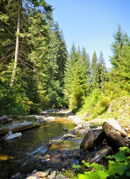 Paesaggio montano con alberi e un fiume di fronte — Foto Stock