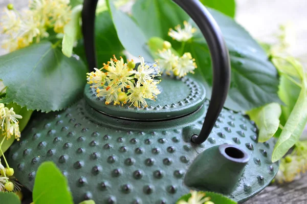 Teapot with linden tea and flowers, close-up — Stock Photo, Image