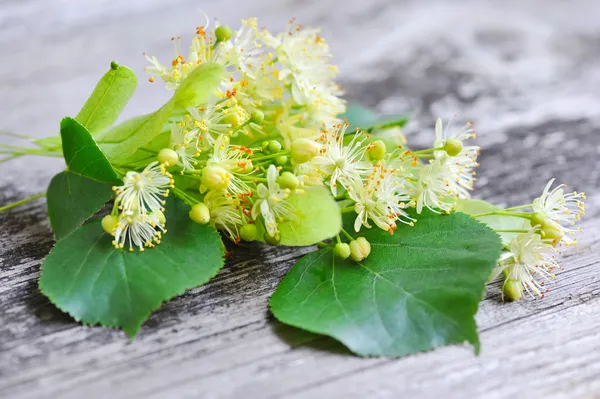 eski bir ahşap zemin üzerinde ıhlamur ağacının çiçekleri