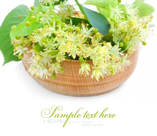 Flowers of linden tree in wooden bowl on a white background — Stock Photo, Image