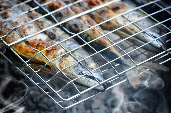 Grilled mackerels on the grill on campfire — Stock Photo, Image