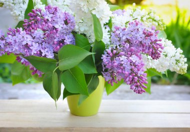 buket lilac doğal zemin