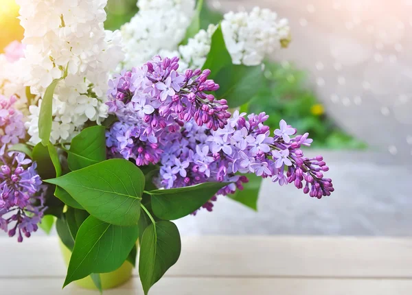 Bouquet de lilas sur fond naturel — Photo