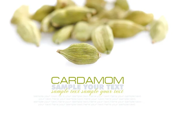 Cardamomo sobre fundo branco com espaço para texto — Fotografia de Stock