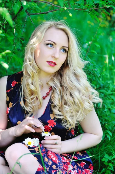 Young charming woman with camomiles — Stock Photo, Image