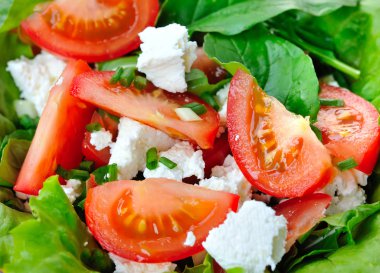 domates peynir ve Roka Salatası