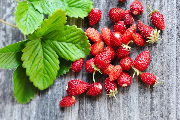 Fraises sauvages fraîches sur une vieille table en bois — Photo