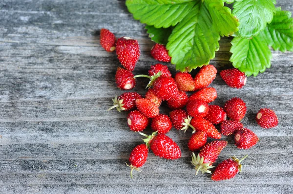 Verse wilde aardbeien op een oude houten tafel — Stockfoto