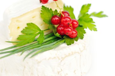 Camembert peyniri ile kırmızı kuş üzümü ve beyaz üzerine maydanoz