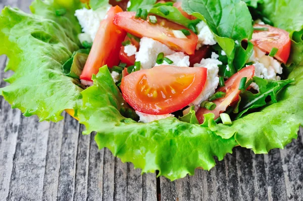 Tomato salad with cheese and arugula — Stock Photo, Image