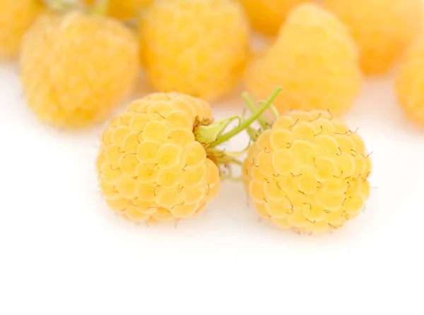 Framboesa amarela fresca sobre fundo branco — Fotografia de Stock