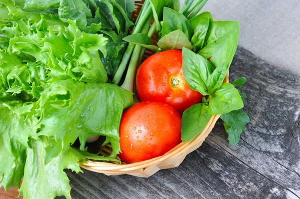 Свежие овощи и зелень в корзине — стоковое фото