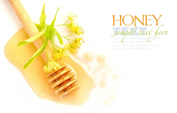 Honey dipper with honey with flowers of linden on white background — Stock Photo, Image