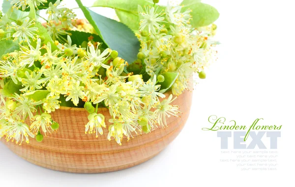 Flowers of linden tree in wooden bowl on a white background — Stock Photo, Image