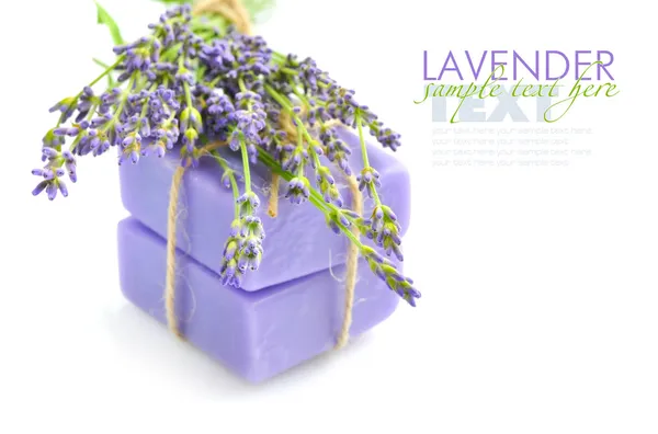 Savon artisanal et fleurs de lavande sur fond blanc — Photo