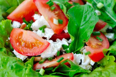 domates peynir ve Roka Salatası