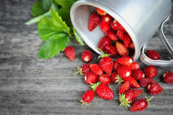 Fresas silvestres frescas en una vieja mesa de madera —  Fotos de Stock