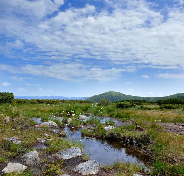 Beautiful summer landscape in the mountains — Stock Photo, Image