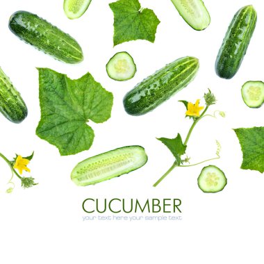 Salatalık, metnin için kopyalama alanı olan beyaz arkaplanda izole edildi. Salatalık dilimleri, yapraklar, çiçekler. Üst Manzara. Düz uzanma deseni