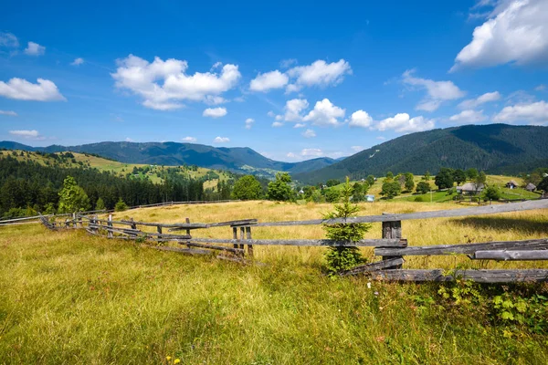 Vackert Bergslandskap Och Ljusa Träd Solljus Karpaterna Ukraina Europa — Stockfoto