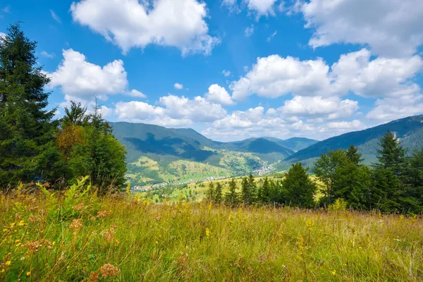 Bela Paisagem Montanha Com Ervas Coloridas Cárpatos Ucrânia Europa — Fotografia de Stock