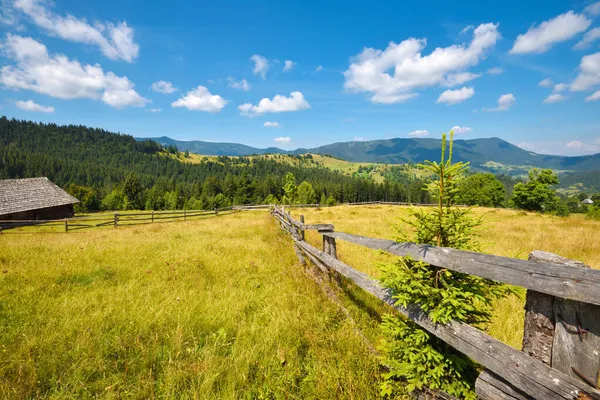 Vackert Bergslandskap Och Ljusa Träd Solljus Karpaterna Ukraina Europa — Stockfoto