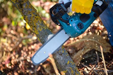 Bir bahçıvan, kablosuz testereyle ağaçları budar. Sonbahar bahçesinde çalış..