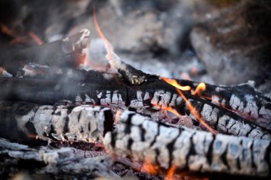 Kömür ve odun külü yakın plan. Arkaplan olarak kullanılabilir
