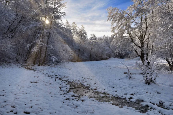 Wunderschöne Verschneite Winterlandschaft Mit Wald Und Sonne Sonne Scheint Durch — Stockfoto