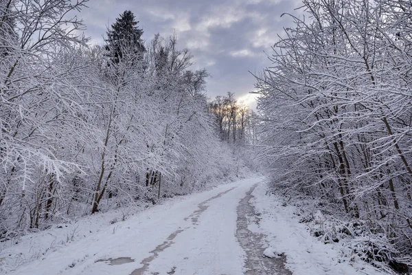 Smala Snöiga Skogsvägar Vinterdag Vinterlandskap — Stockfoto