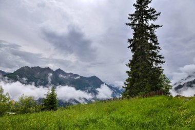 Görkemli dağ vadisi, yağmurdan sonra yeşil alp çayırlarıyla kaplıdır. Sisli bir manzara. Konum Alpleri, Avrupa.