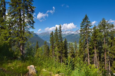 Dağlarda yaz manzarası ve bulutlu mavi gökyüzü
