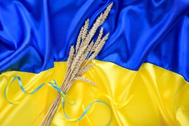 Bundle of wheat spikes with yellow and blue ribbon on the background of the flag of Ukraine. Harvest of wheat and concept of Ukraine. Flat lay, copy space