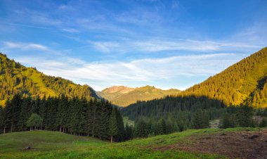 A wonderful morning in the mountains. Summer alpine landscape